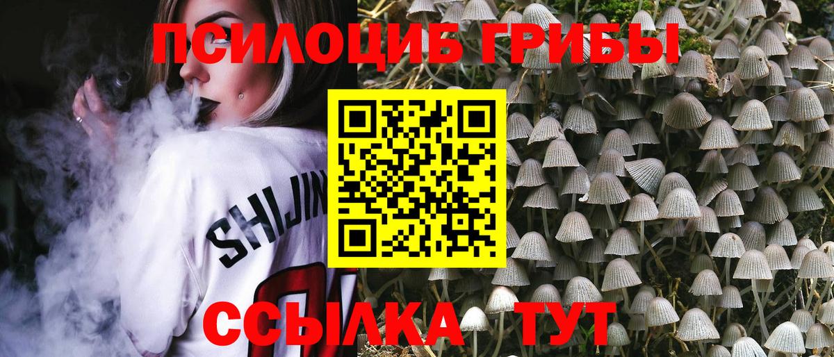 Галлюциногенные грибы GOLDEN TEACHER Джанкой