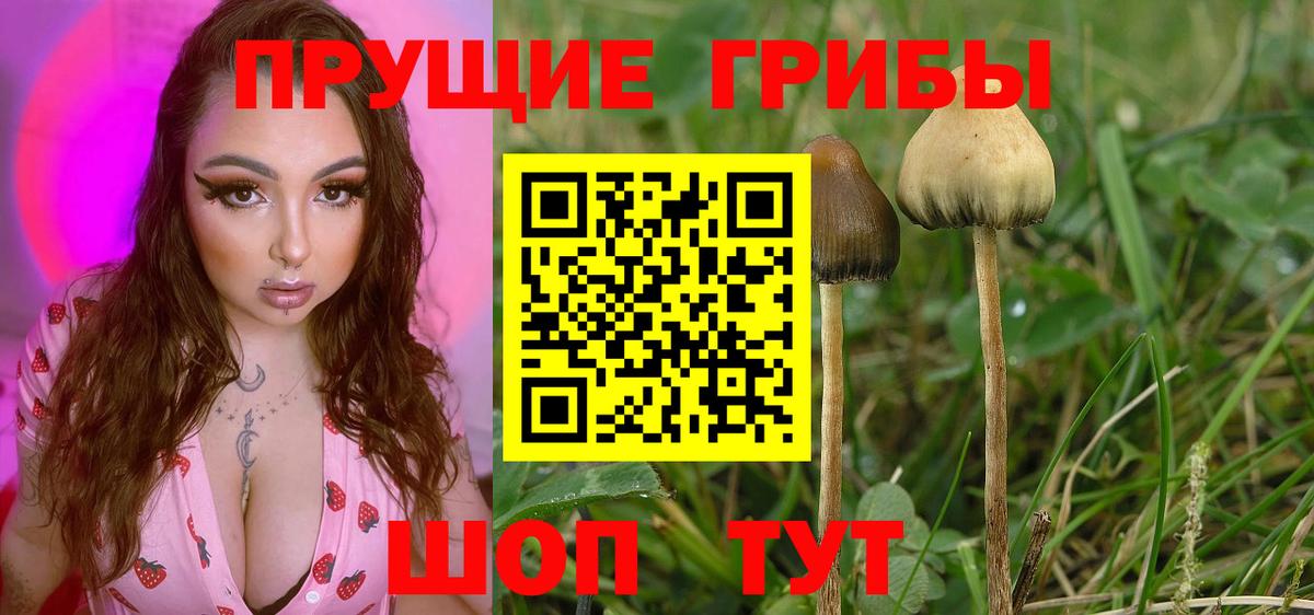 Псилоцибиновые грибы мицелий  Псилоцибиновые грибы Magic Shrooms  Вход с VPN  где найти   Джанкой 