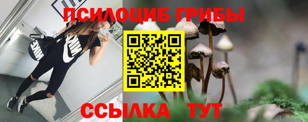 Псилоцибиновые грибы Psilocybine cubensis Джанкой